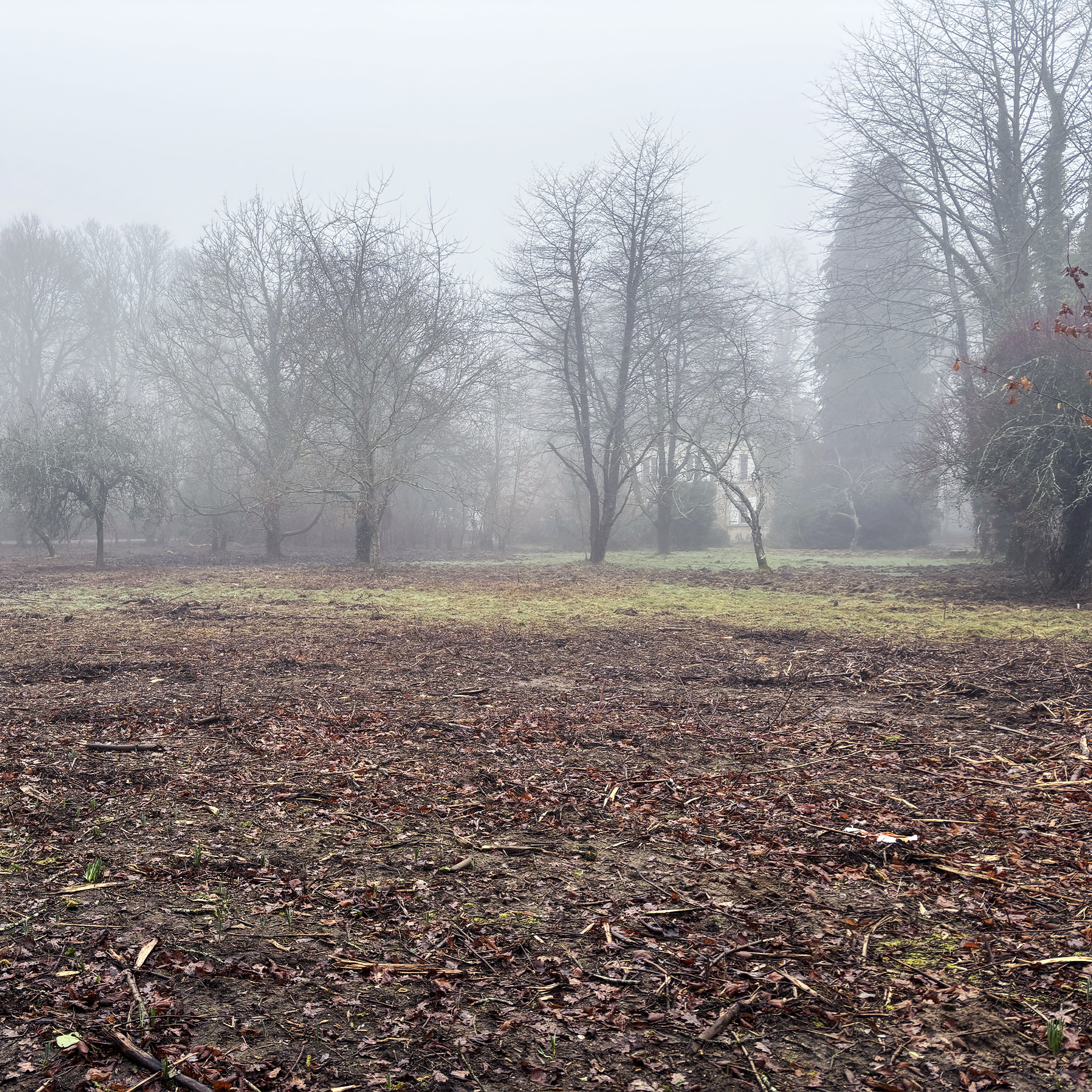 Rénovation complète d'une maison forestière à Chamant